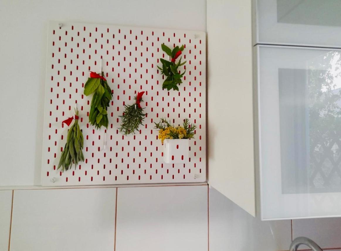 טרוגיר Studio Diana מראה חיצוני תמונה